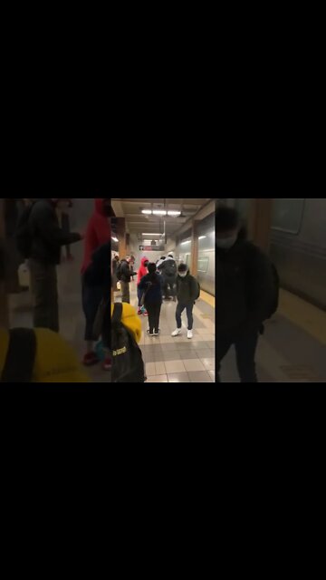 The Brooklyn Train Incident (Long Version)