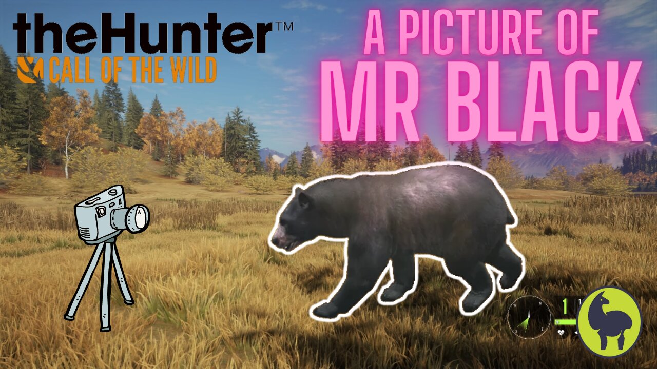 The Hunter: Call of the Wild, Trampfine- A Picture of Mr Black