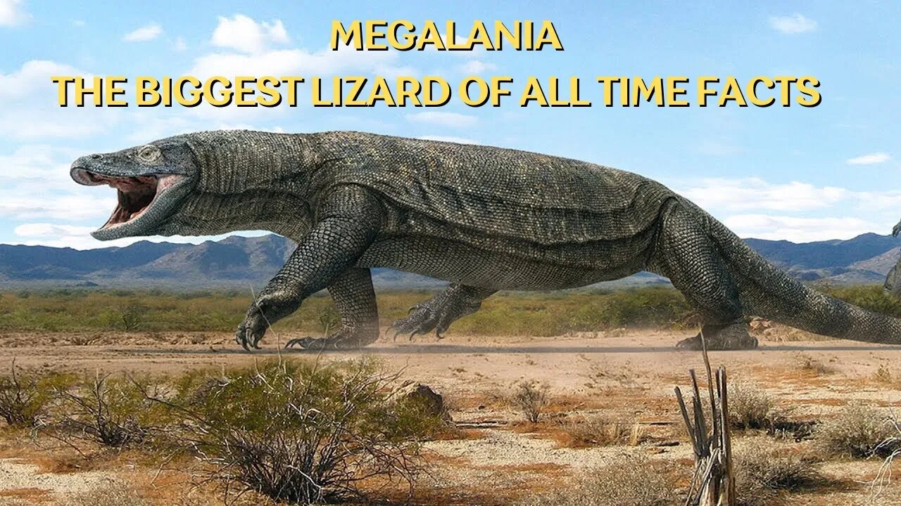 Megalania: The Biggest Lizard Of All Time Facts