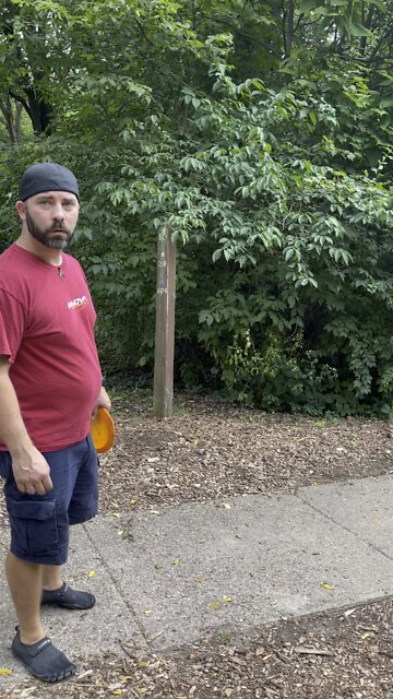 disc golf and dad bods rule!