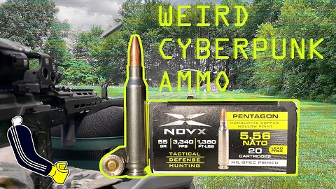 NovX 5.56x45 NATO 55gr Copper Pentagon (HP) Stainless Steel 2 Pc Case//Velocity Test