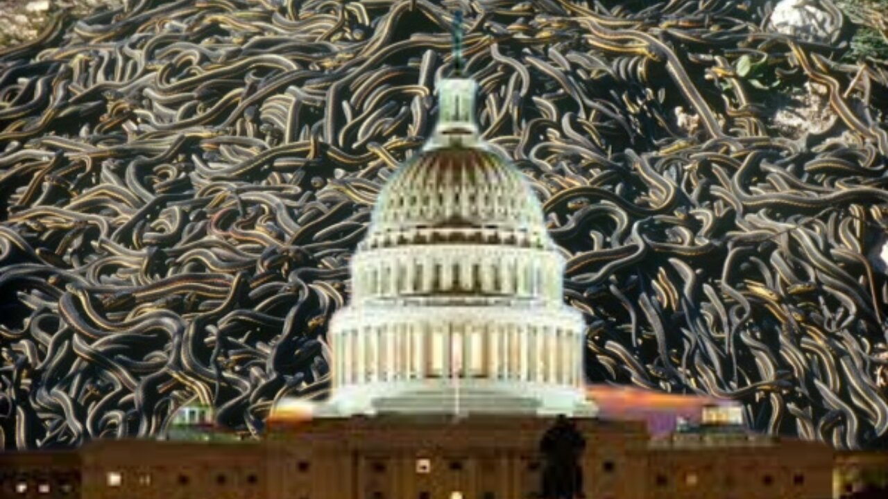 3/3/22 Prophetic Dream Snakes in the capital The Senate seats. The Reaper has come ￼