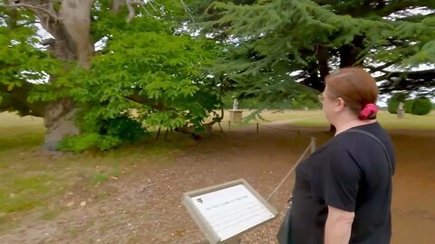 Part 2 retro takes the train (aka the dog) to Burton constable hall and gardens near sproatley.