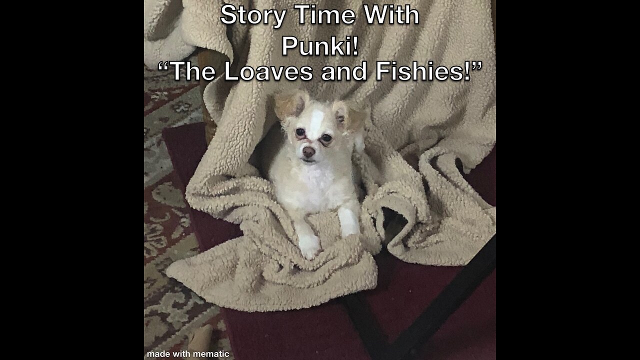 Story-Time With Punki: The Loaves and Fishies!