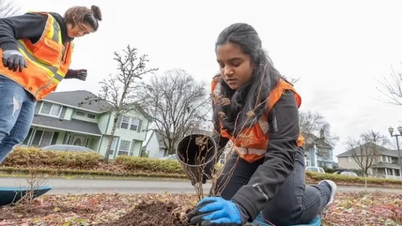 Community members celebrate MLK with day of service