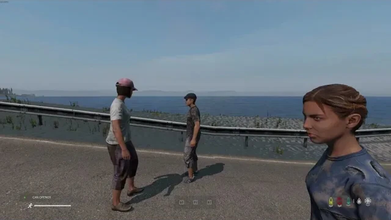 DayZ went from 0 to 100 real quick