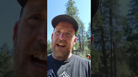 Good Morning Chickens! #chickens #eggs #egg #chicken #homesteading #homestead #farm #farming