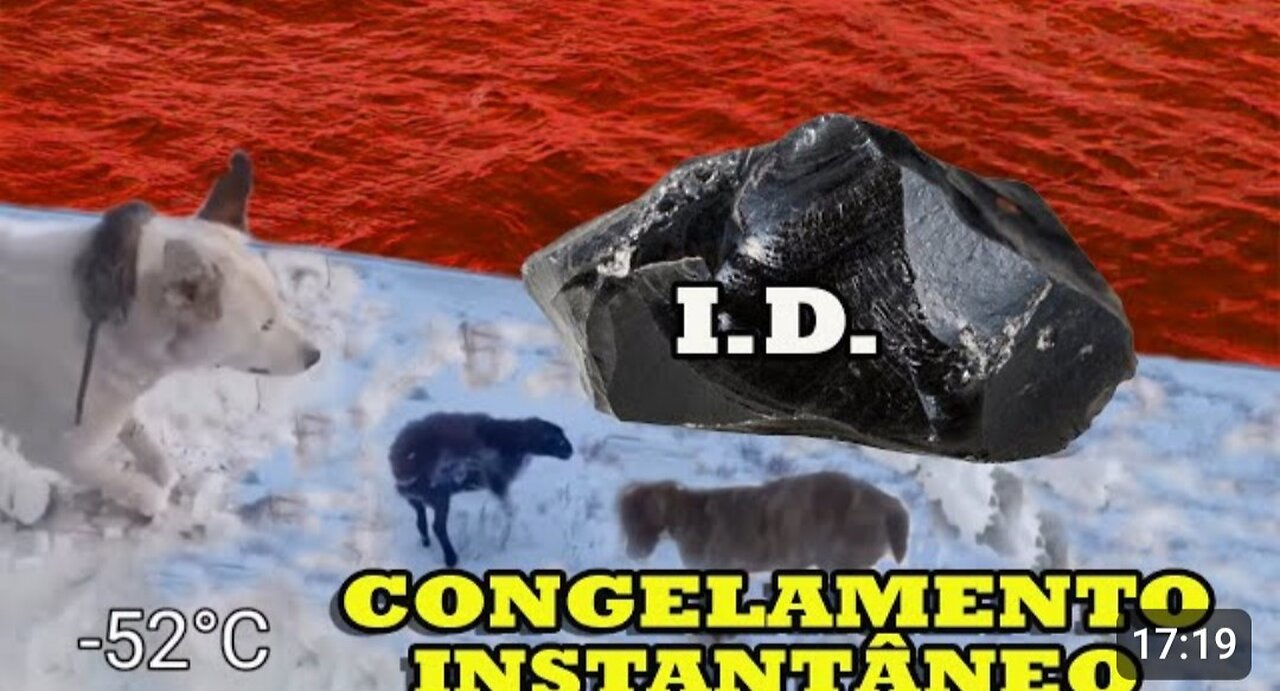 ID MUNDIAL PARA NET JÁ EM CURSO, PEDRA NEGRA EM RETIRADA, CONGELAMENTO INSTANTÂNEO E +