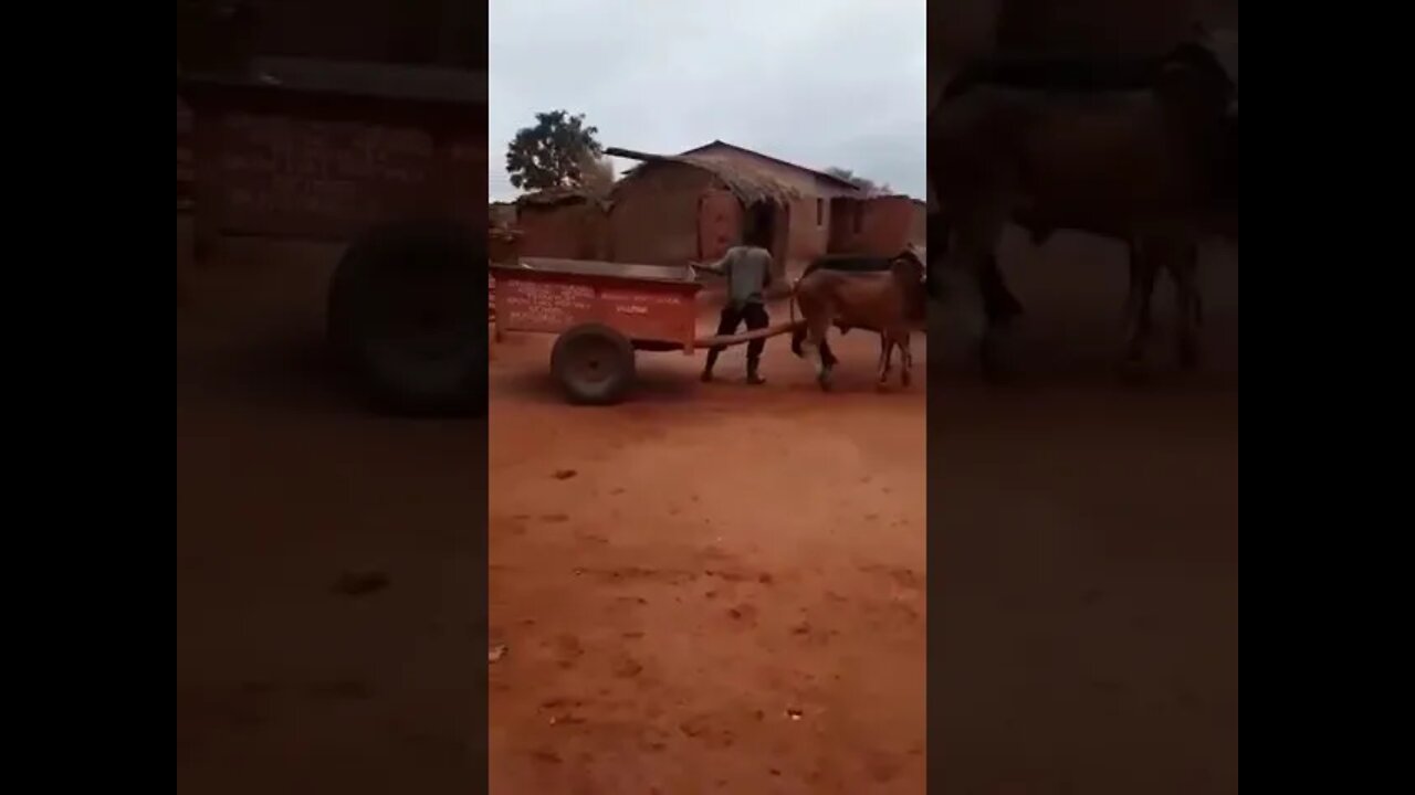 Exceptional parking skills.