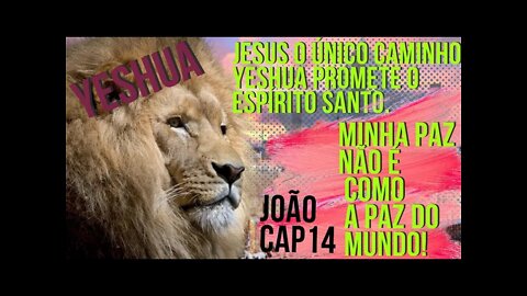O Pai O enviou | Se liga ai