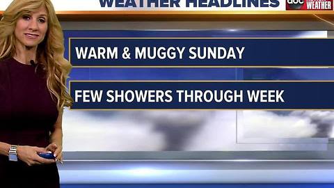 ABC ACTION WEATHER FORECAST