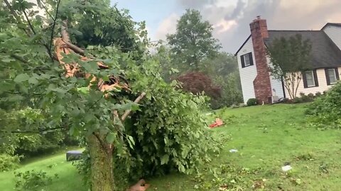 Crews clean up storm debris in Bowie