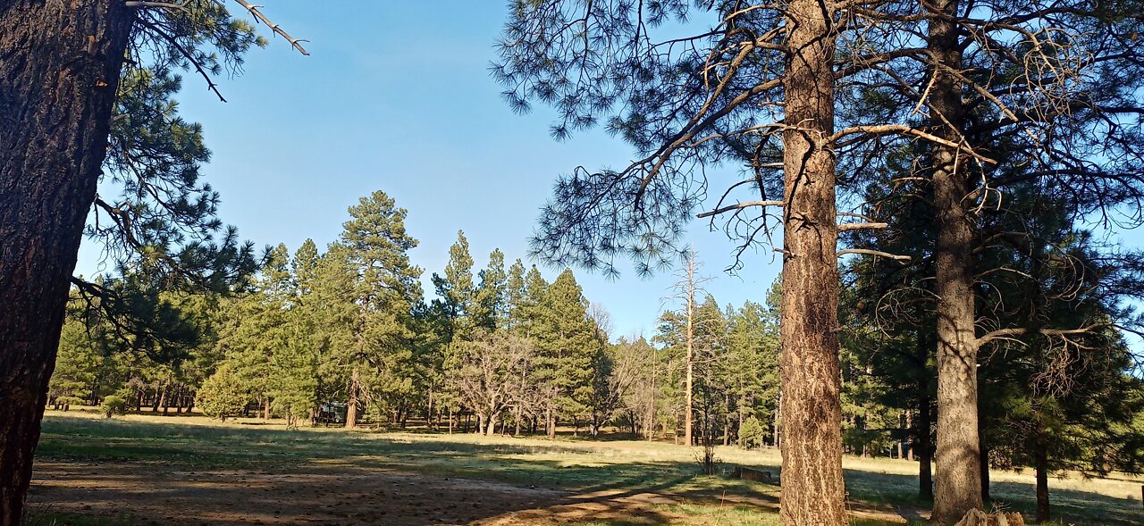 Drive to campsite on Willard Springs Road. Coconino National Forest, Arizona