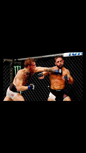 Mixed Martial Arts fights. 1000