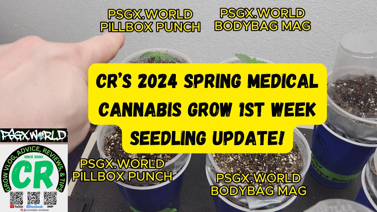 CR's 2024 Spring Growing Season Medical Cannabis Grow 1st Week Seedling Update!