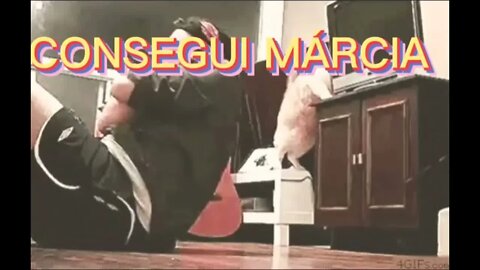 ZAP: CONSEGUI ME VINGUEI MÁRCIA