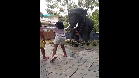 😱😱Little Girls Got ATTACKED BY ELEPHANT😨