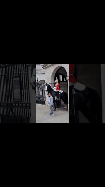 The Queen's guard shouts at young boy #horseguardsparade
