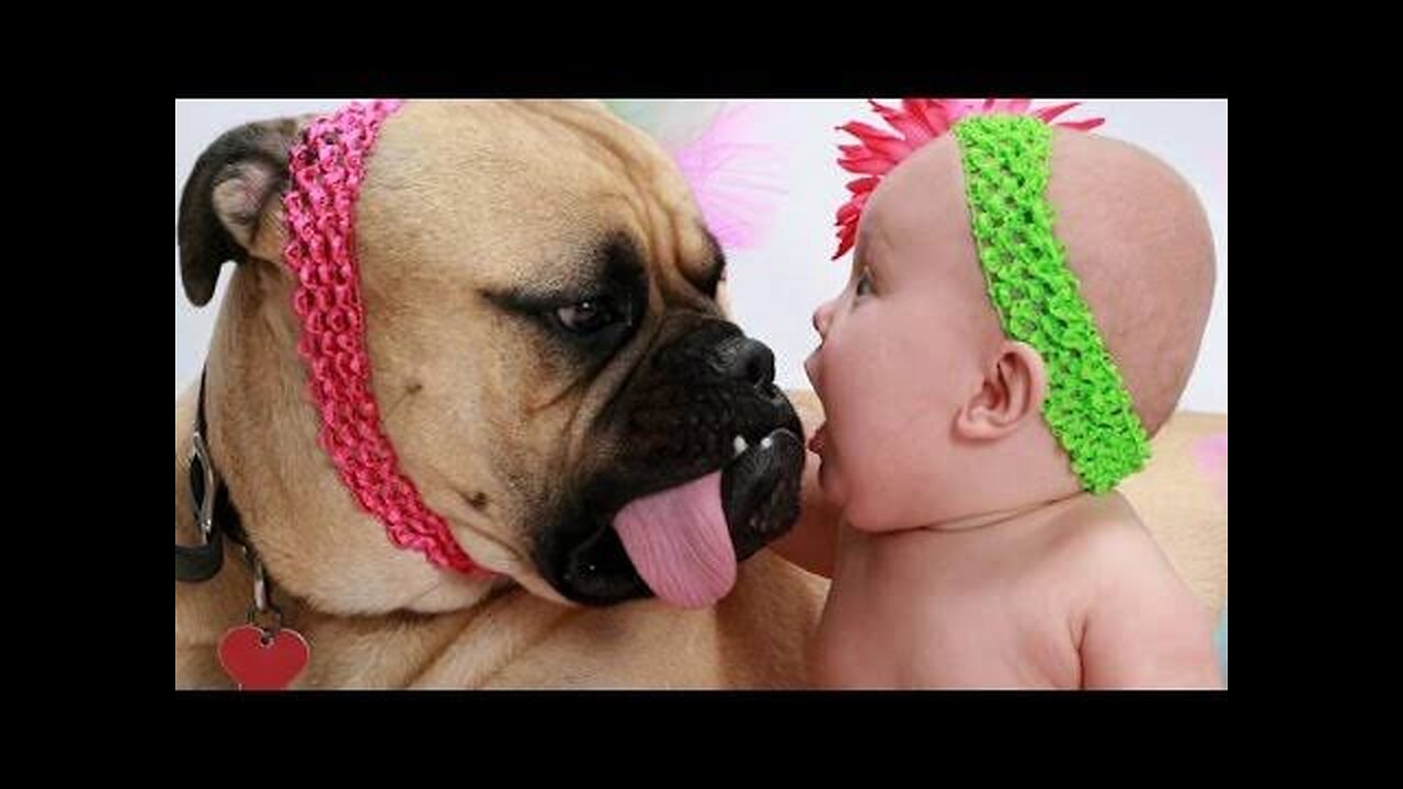 Best video of Cute Babies and Pets - Funny Baby and Pet