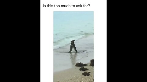 A hug For anyone that needs one