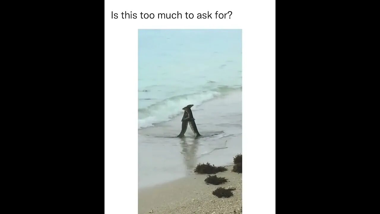 A hug For anyone that needs one