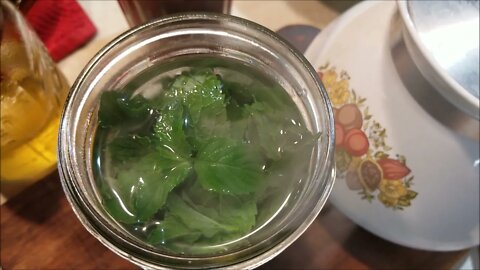 Fresh Spearmint Tea!