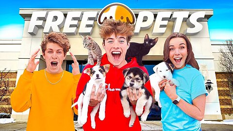 Free pets