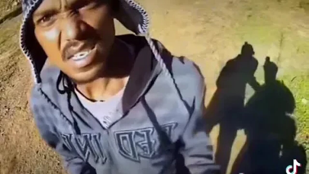 The Shakedown