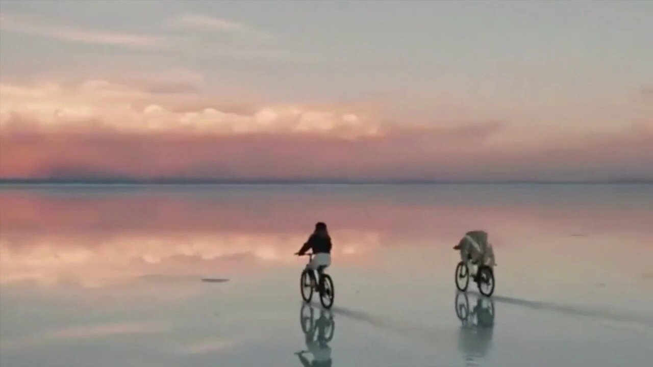 We Will Travel Again