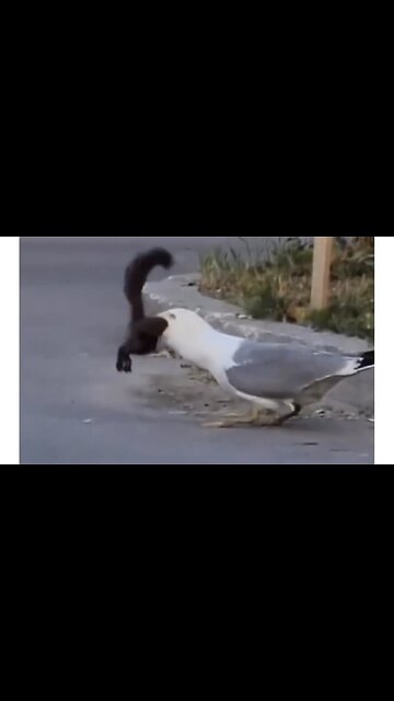 Wtf have I actually just witnessed? 🧐😂