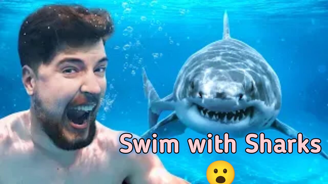 Would You Swim With Sharks For $100,000