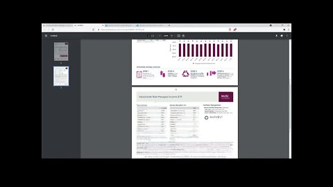 ETF Evaluation: NUSI-Nationwide Risk-Managed Income ETF