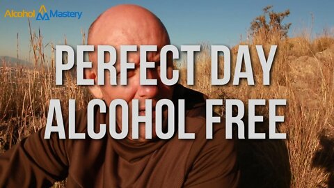 What's My Perfect Day Alcohol Freed?