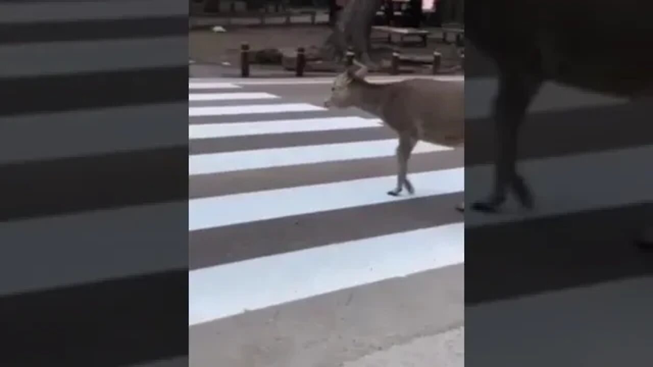 ۱۸ اوت ۲۰۲۲