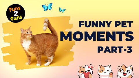 Pet Funny Moments Videos Part - 3