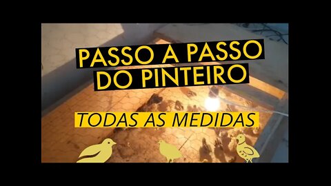 COMO FIZ O PINTEIRO DAS CODORNAS