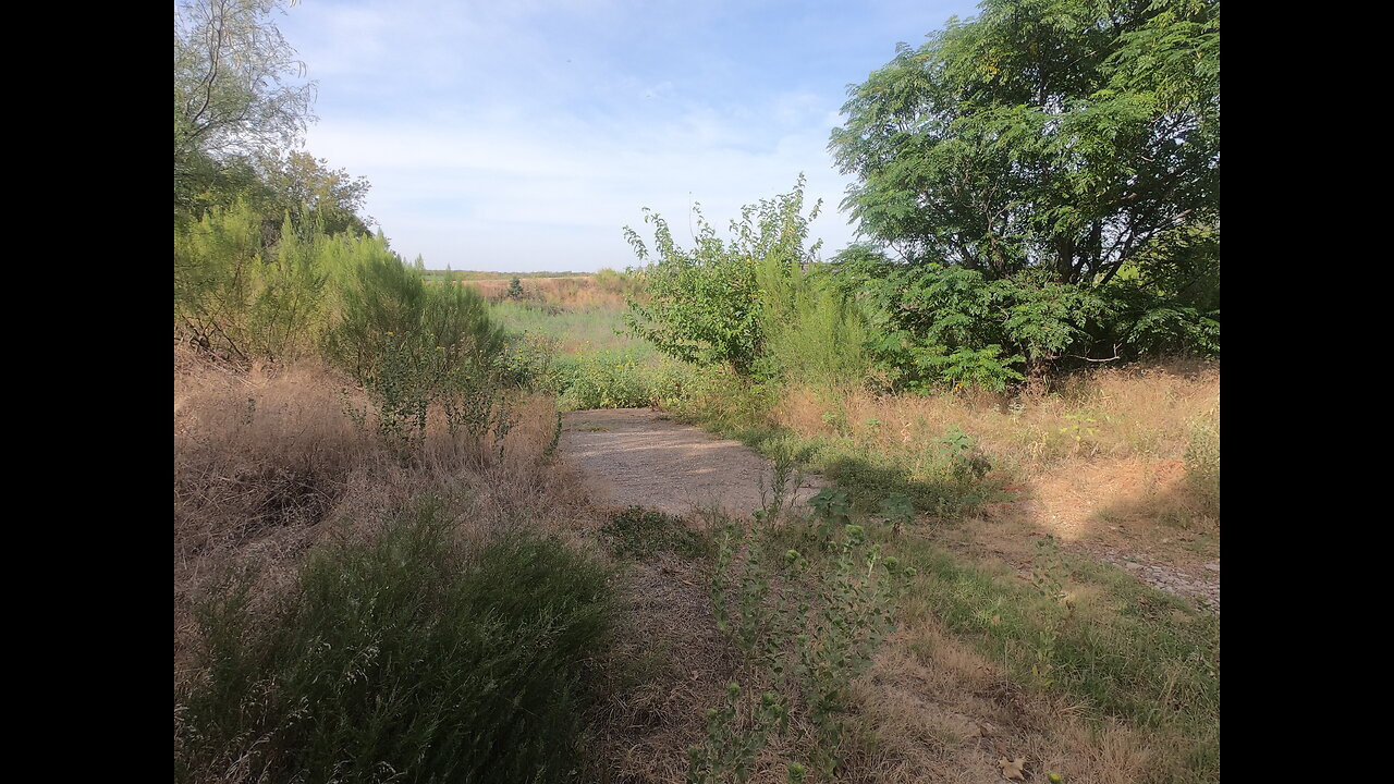 Lake Wichita 8 -23 -23