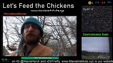 Let's Feed the Chickens: Ep:26; Life on the Farm