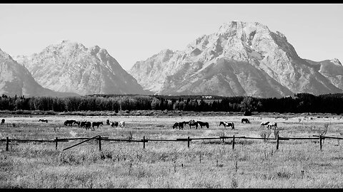 Exploring Tetons of Wyoming- Grizzly, Jackson, Fall Colors, Snake River, NWWYOHV Lake Jackson,