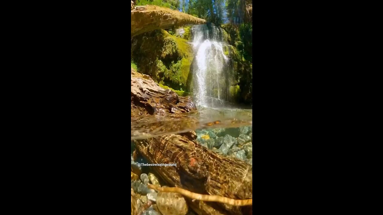 Shut vour mouth and run me like RIVER #river #relaxing