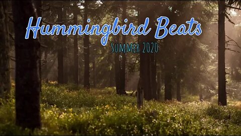 Acoustic Folk Woods by Federico Fabbiano (No Copyright Music)