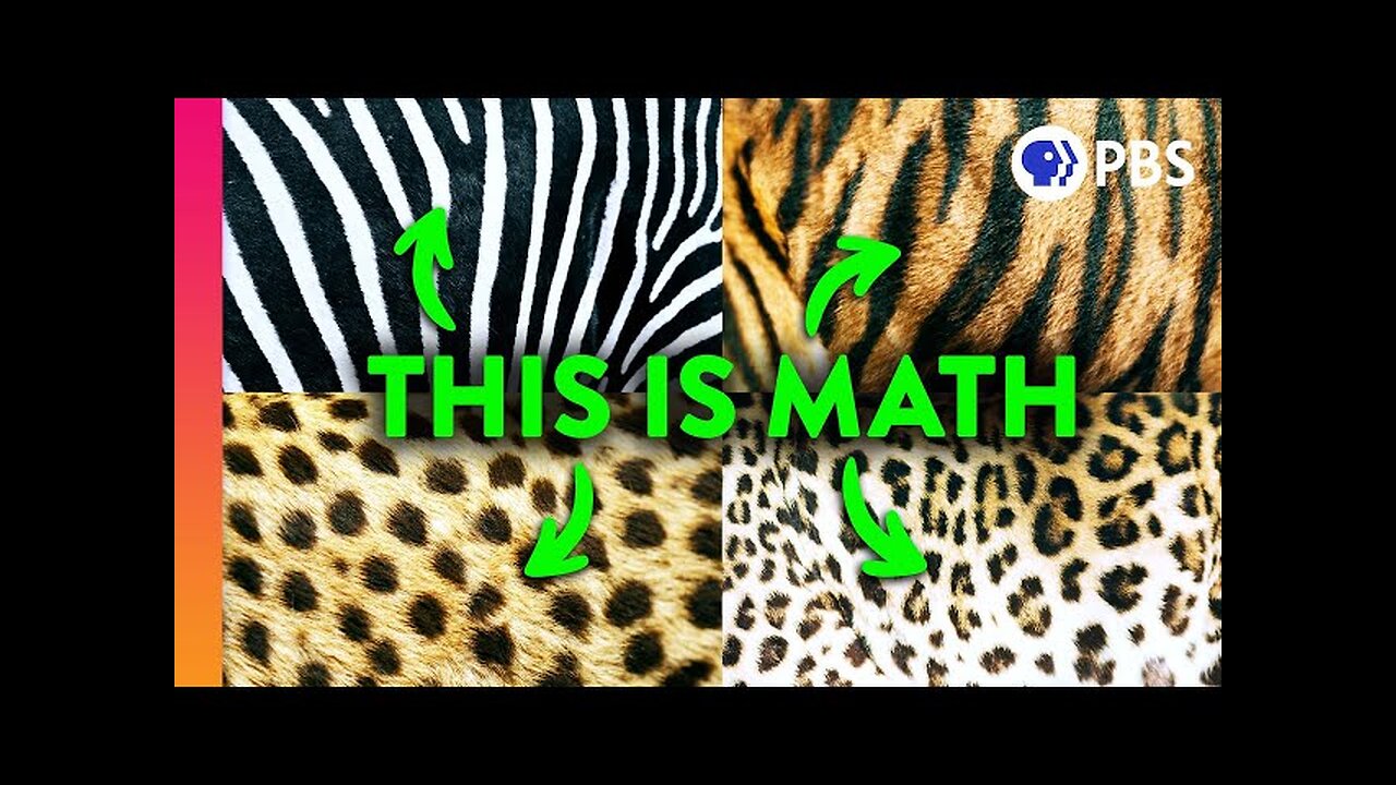 The Mathematical Code Hidden In Nature