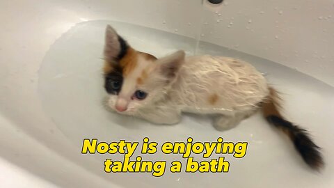 Nosty is enjoying taking a bath