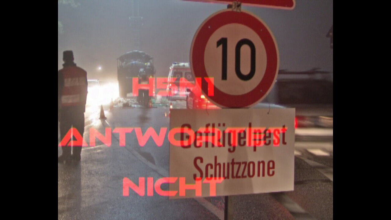 H5N1 ANTWORTET NICHT! (Auf der Suche nach den Killervirus)