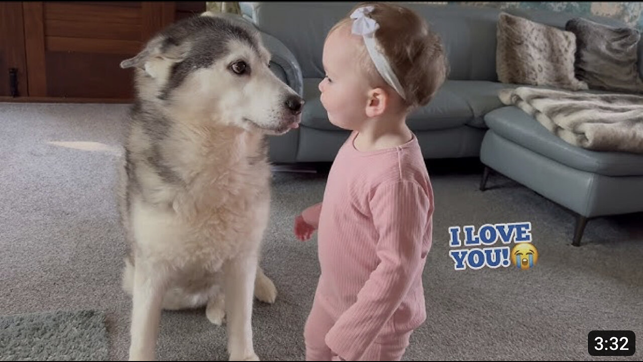 Adorable Baby Conversations Between Our Baby & Husky Is The Cutest Thing Ever!!🥹.