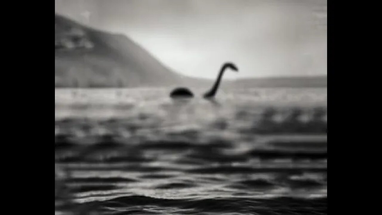 Primeira aparição de Nessie em 2022. Será?