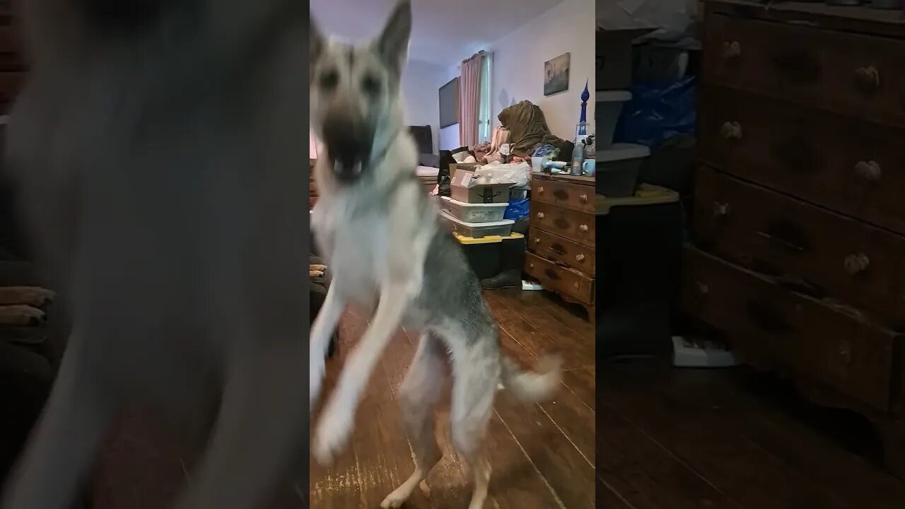 Lazer maybe too strong