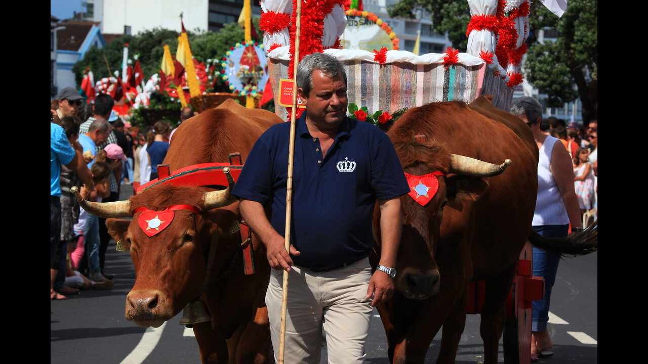 LIVE: Cortejo etnográfico XX Grandes Festas do Divino Espírito Santo - Ponta Delgada - 08.07.2023