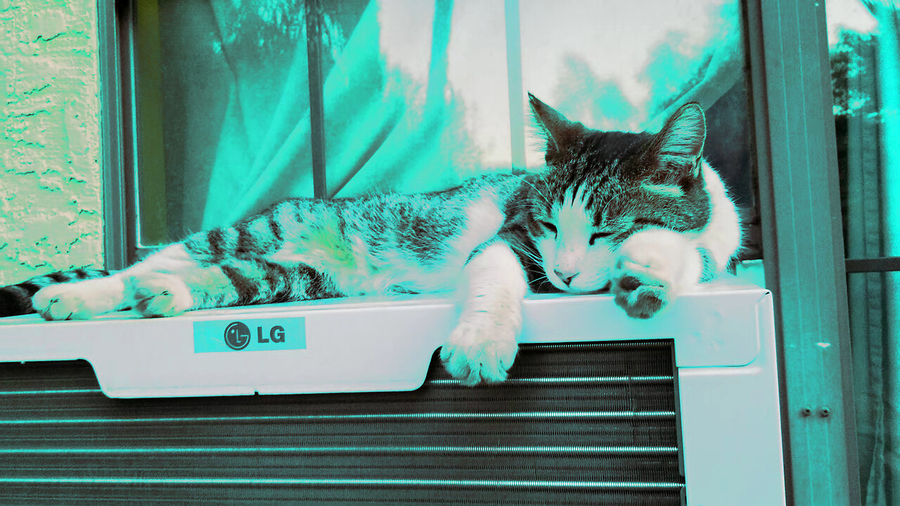 23 - Cat Loves Tranquil Air Conditioner