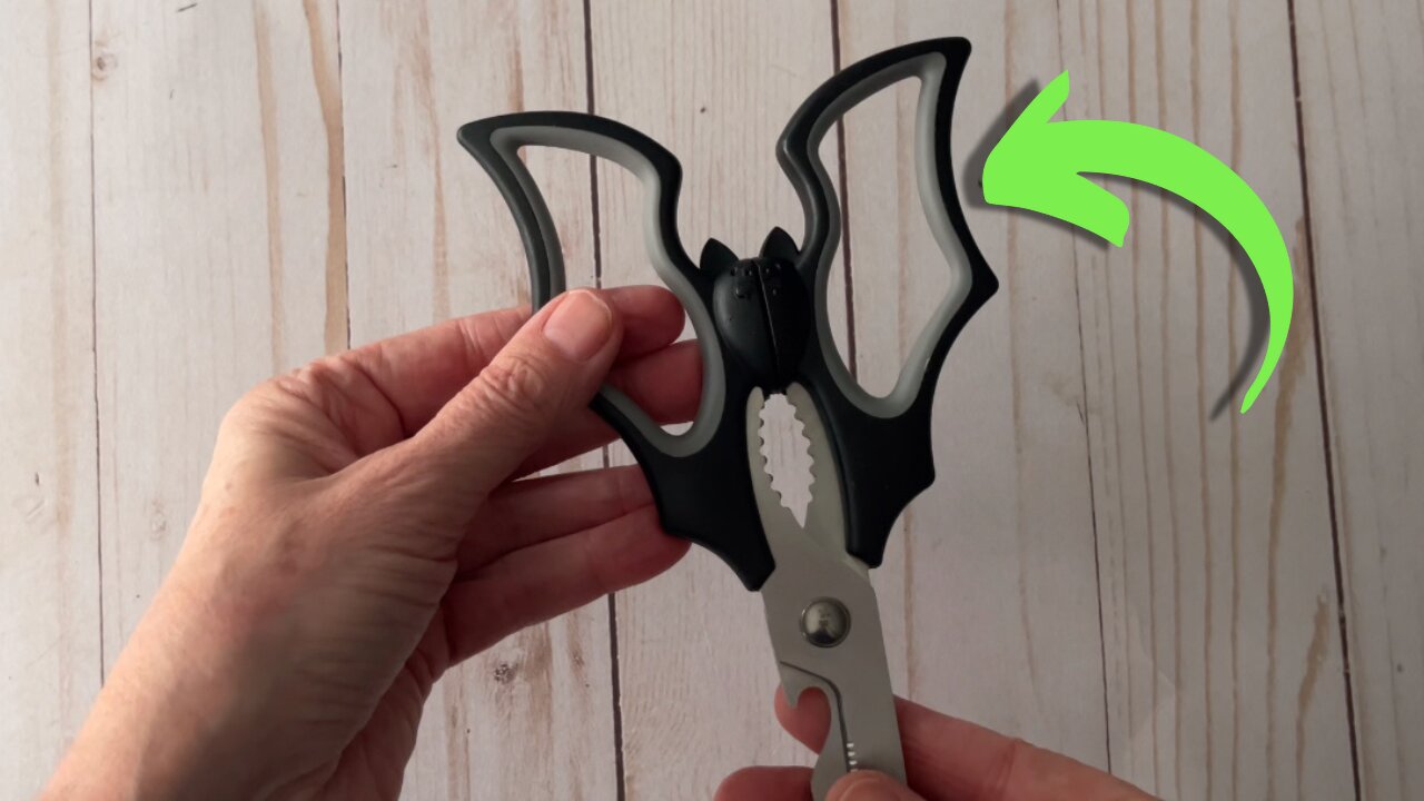 Why You NEED These Scissors!